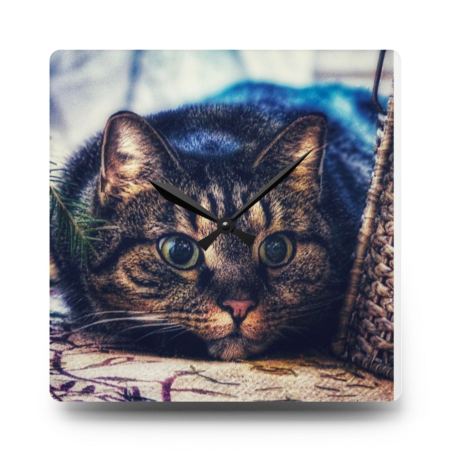 Round Acrylic Wall Clock — Cute Tabby Cat Prowling Photo