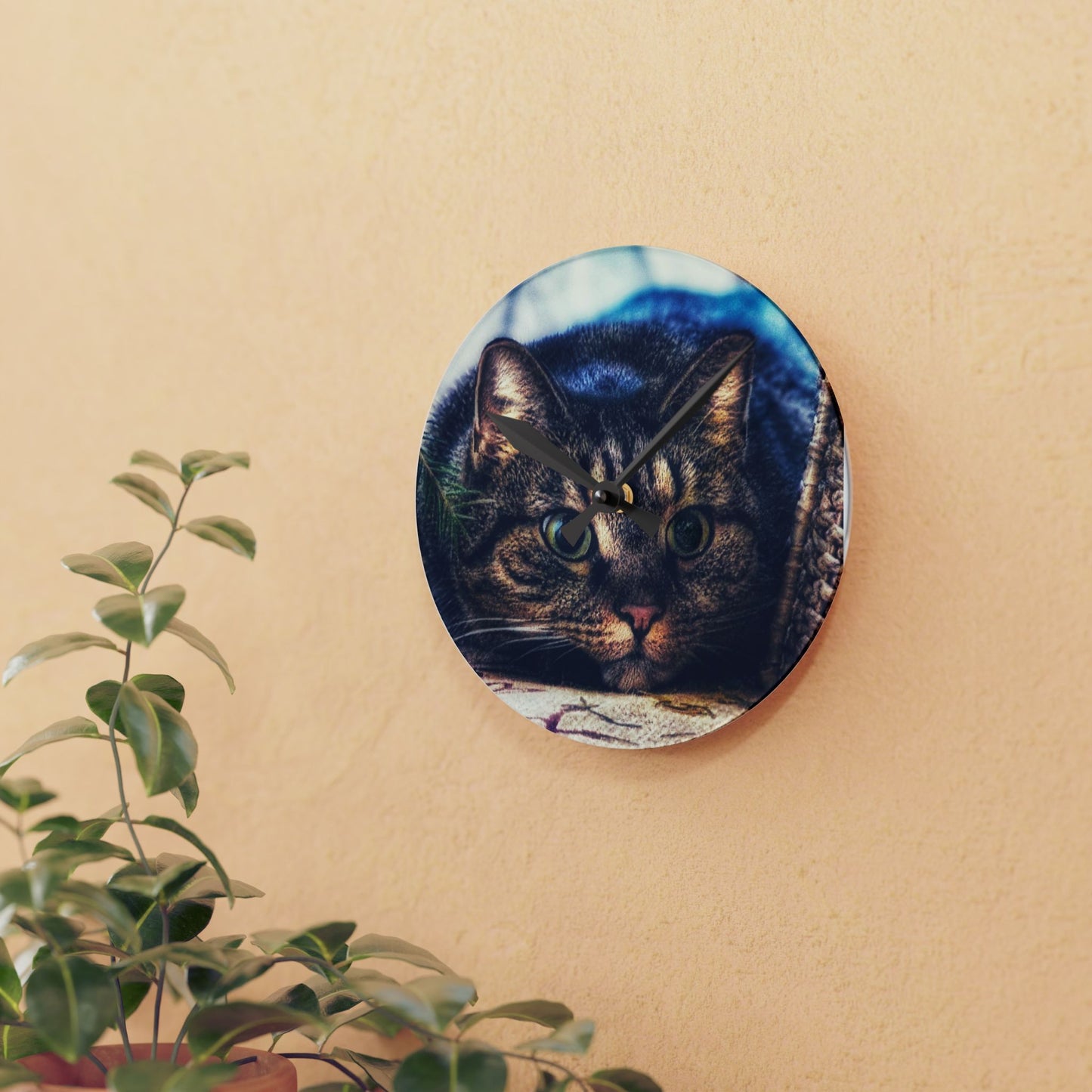Round Acrylic Wall Clock — Cute Tabby Cat Prowling Photo