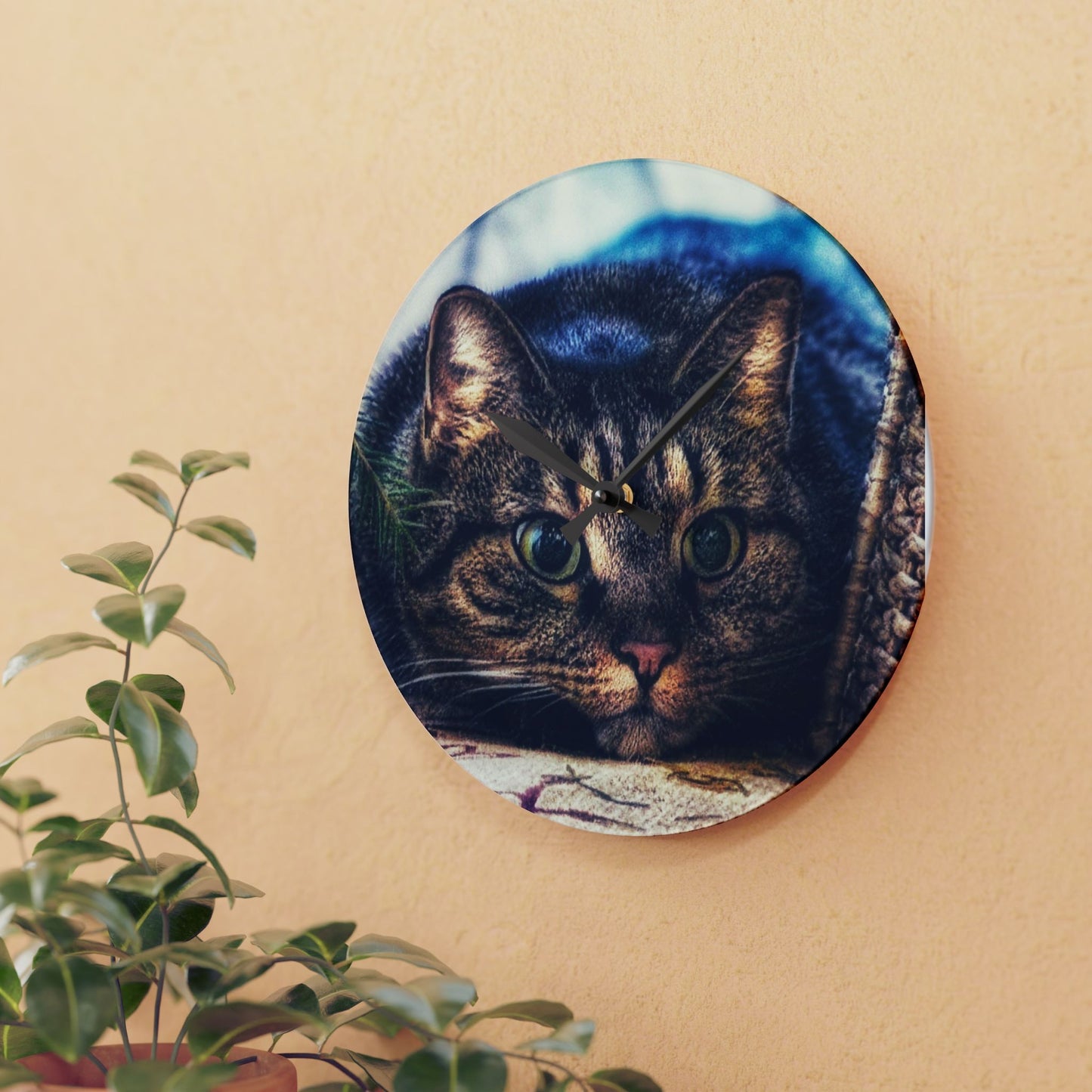 Round Acrylic Wall Clock — Cute Tabby Cat Prowling Photo