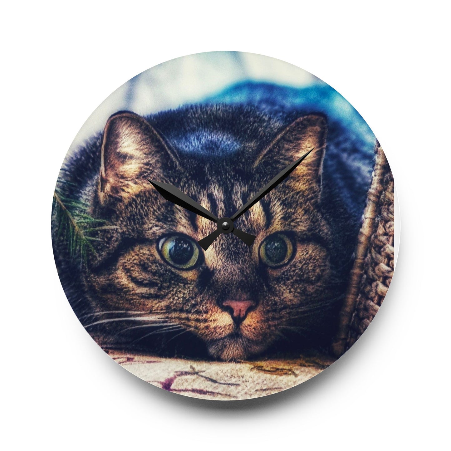 Round Acrylic Wall Clock — Cute Tabby Cat Prowling Photo