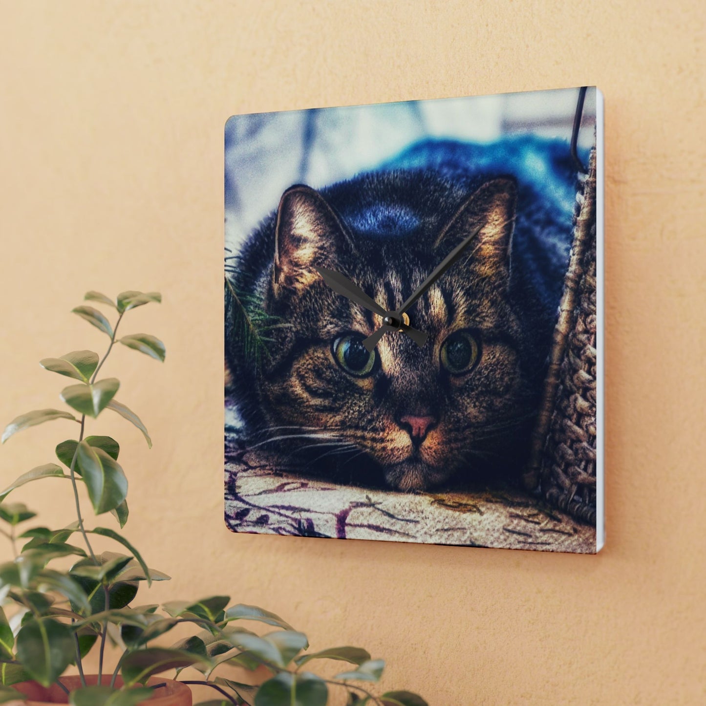 Round Acrylic Wall Clock — Cute Tabby Cat Prowling Photo