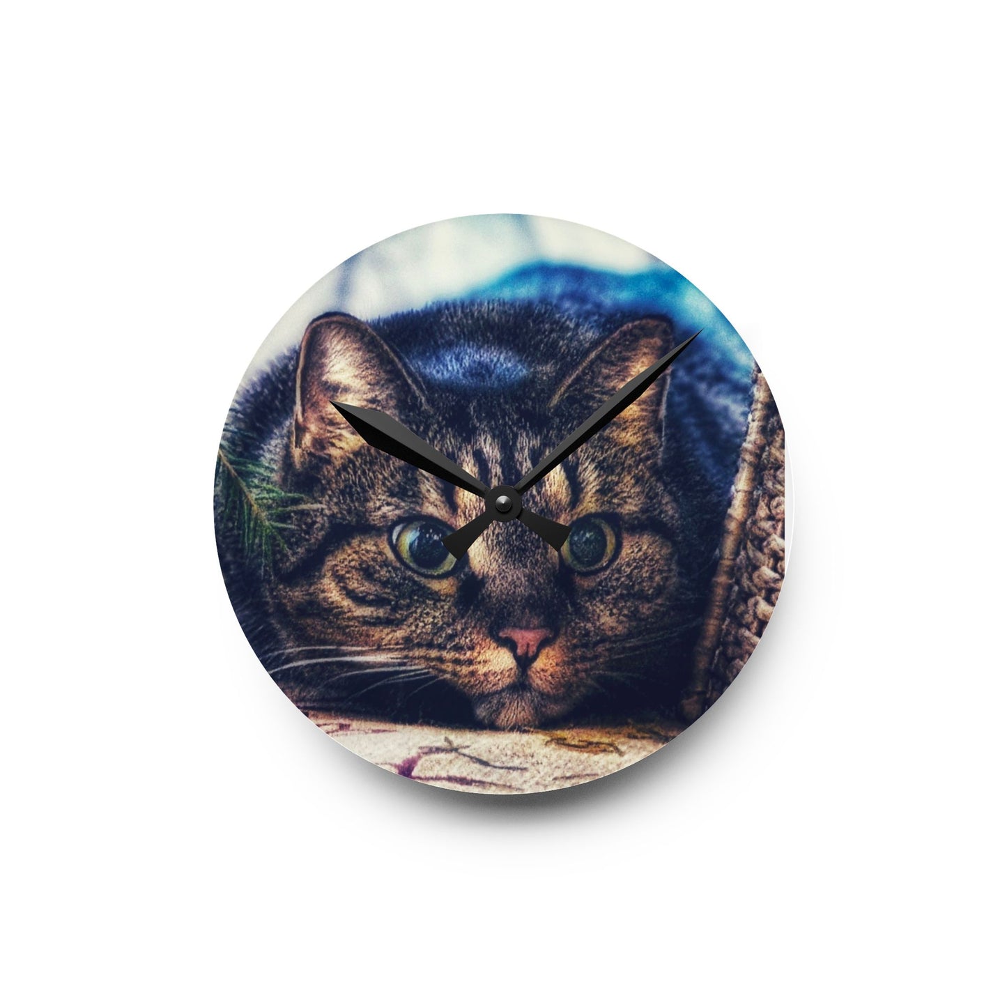 Round Acrylic Wall Clock — Cute Tabby Cat Prowling Photo